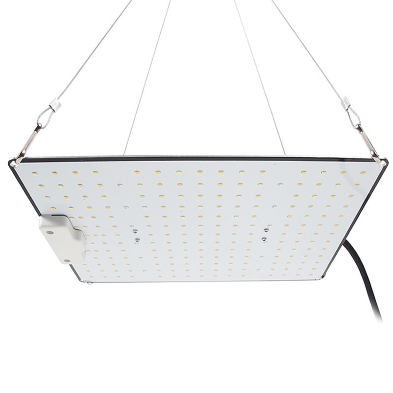 Indoorled - Quantum Board 100W Indoorled - Quantum Board 100W