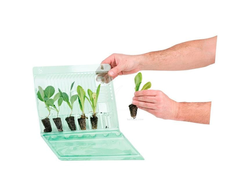 WhatsApp Image 2025-01-25 at 12.12.29 (2)