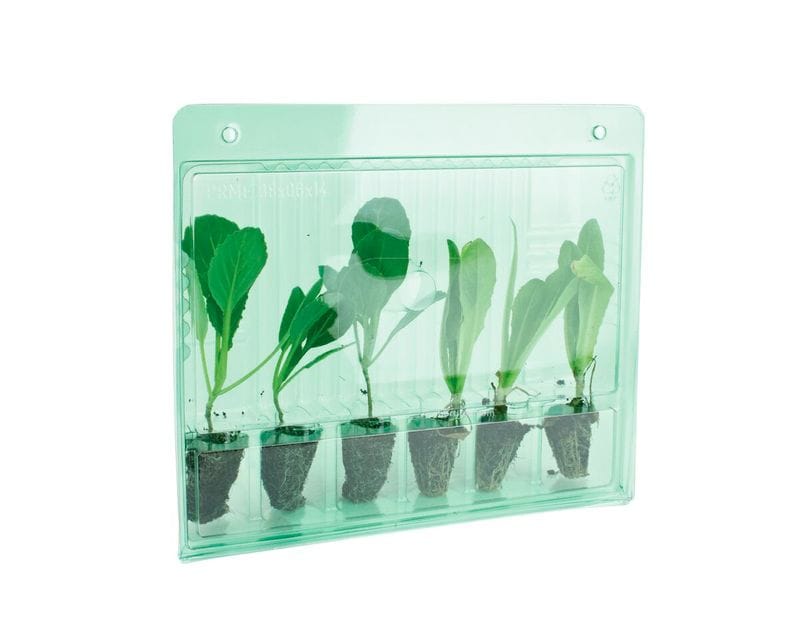 WhatsApp Image 2025-01-25 at 12.12.29 (3)