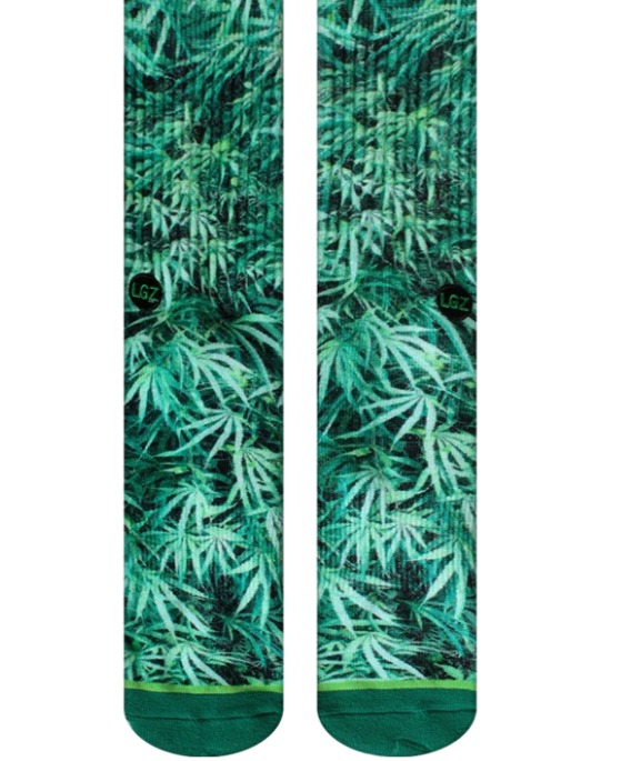 WhatsApp Image 2025-06-12 at 12.02.19 (4)