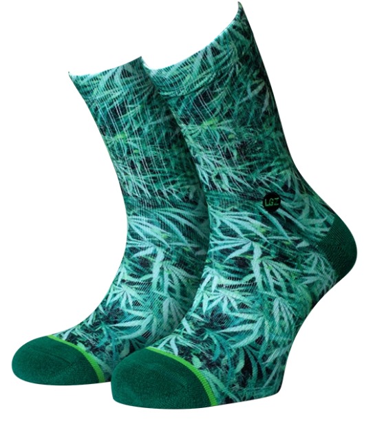 WhatsApp Image 2025-06-12 at 12.02.19 (7)